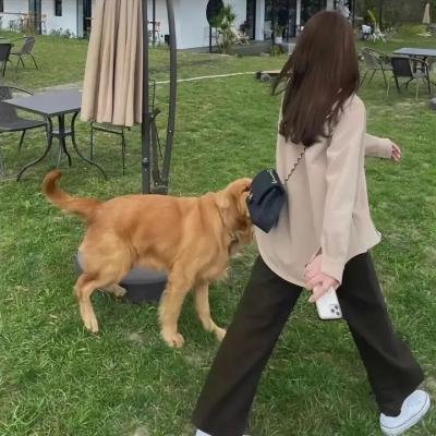 飞碟学校的秘密