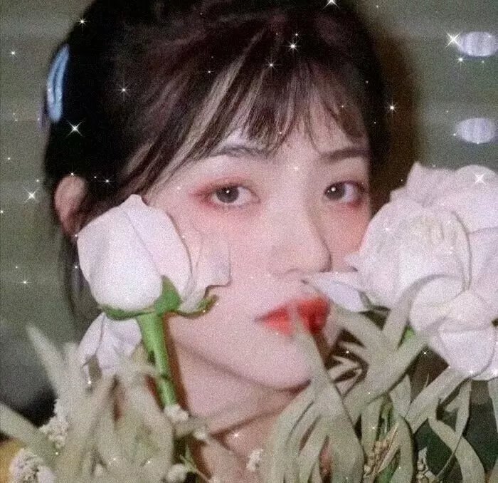 神医九小姐