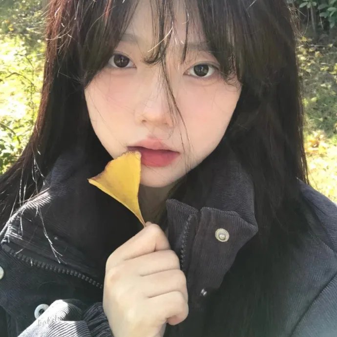 登帕卡农